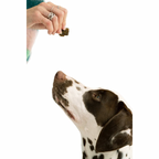 Dog Jerky Treats product image 3