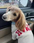 Dog Sweatshirt product image 8