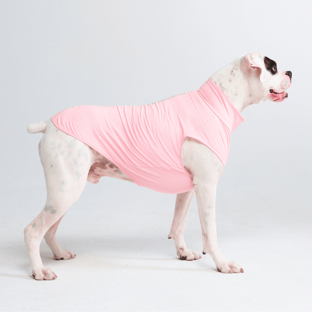 UPF 30 Dog Sun Shirt product image 12