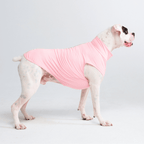 UPF 30 Dog Sun Shirt product image 12