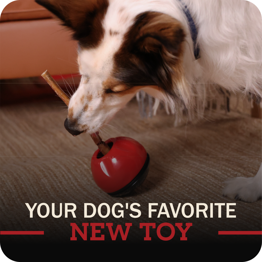 Dog Chew Holder product image 2