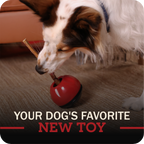 Dog Chew Holder product image 2