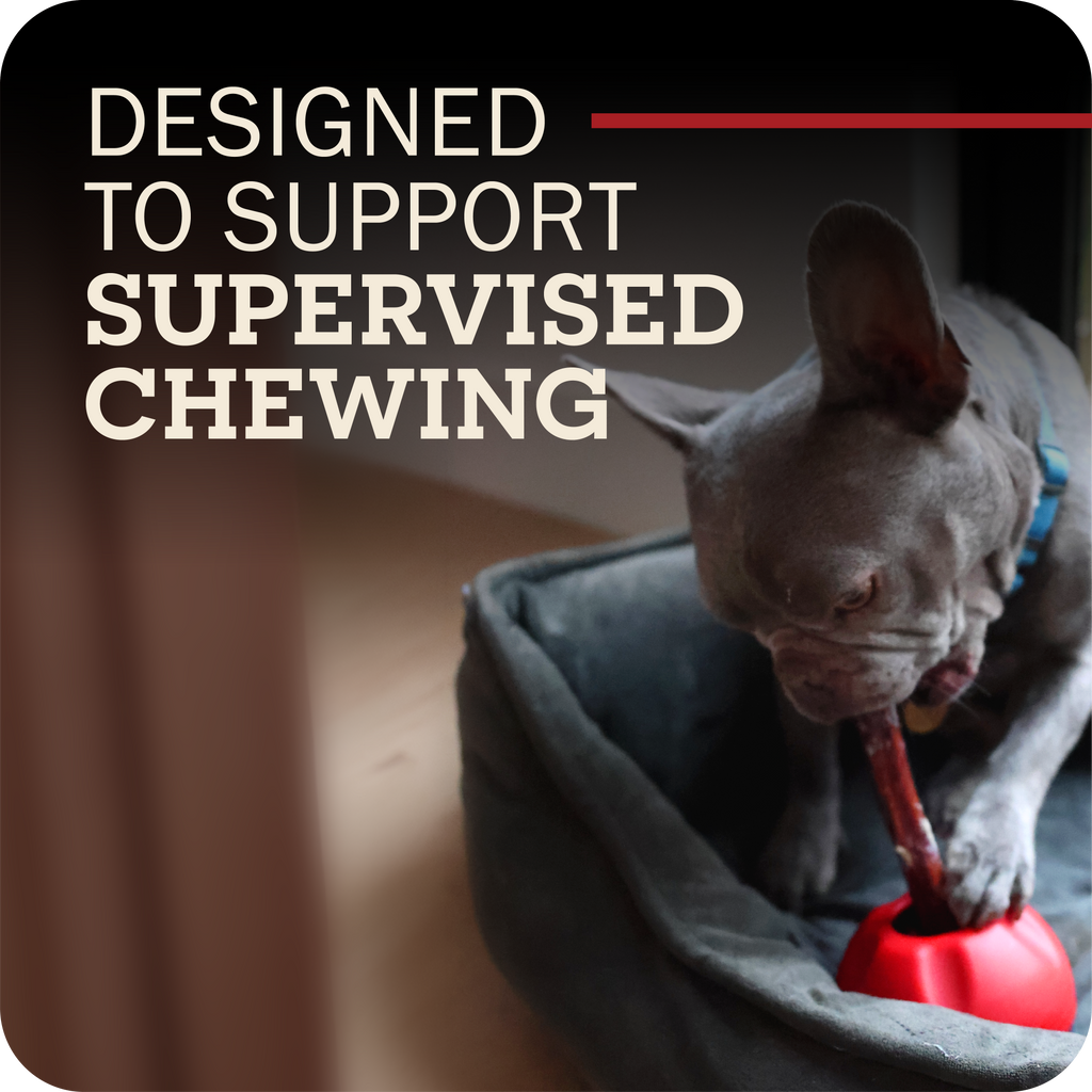 Dog Chew Holder product image 6