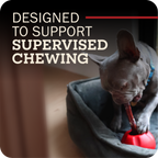 Dog Chew Holder product image 6