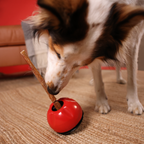 Dog Chew Holder product image 10