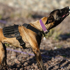 Tactical Dog Harness product image 4