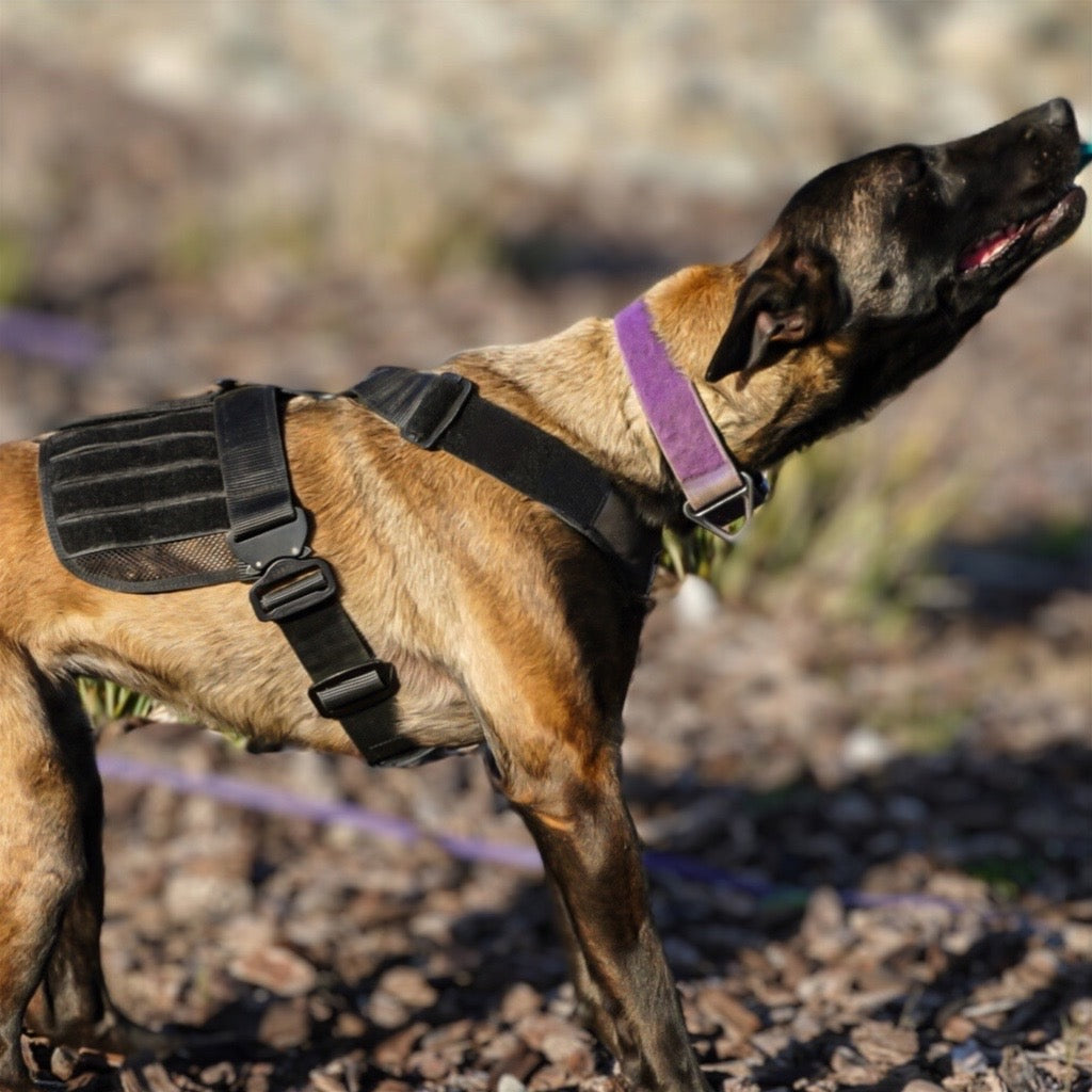 Tactical Dog Harness product image 4