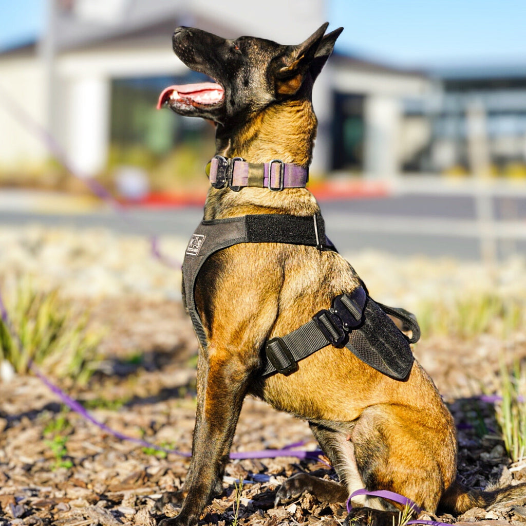 Tactical Dog Harness product image 5