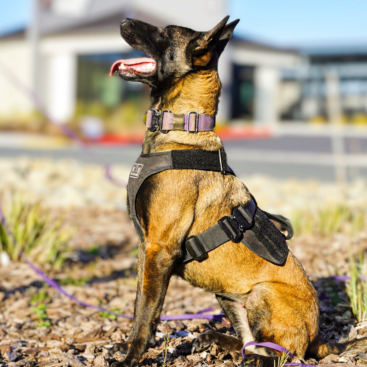 Tactical Dog Harness product image 5