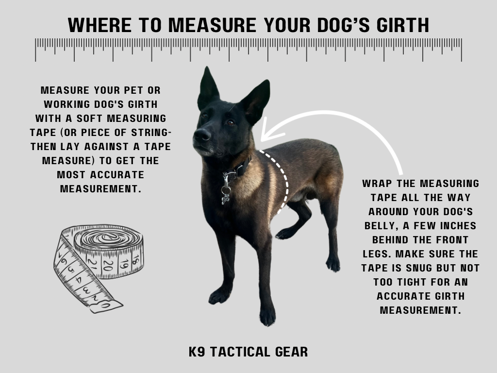 Tactical Dog Harness product image 8
