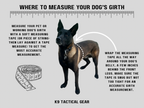 Tactical Dog Harness product image 8