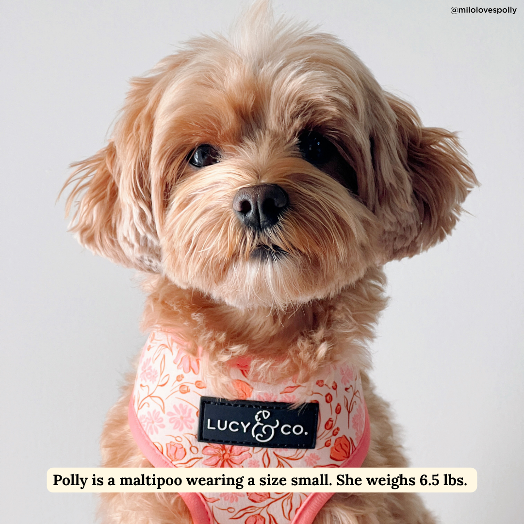 Reversible Harness product image 2