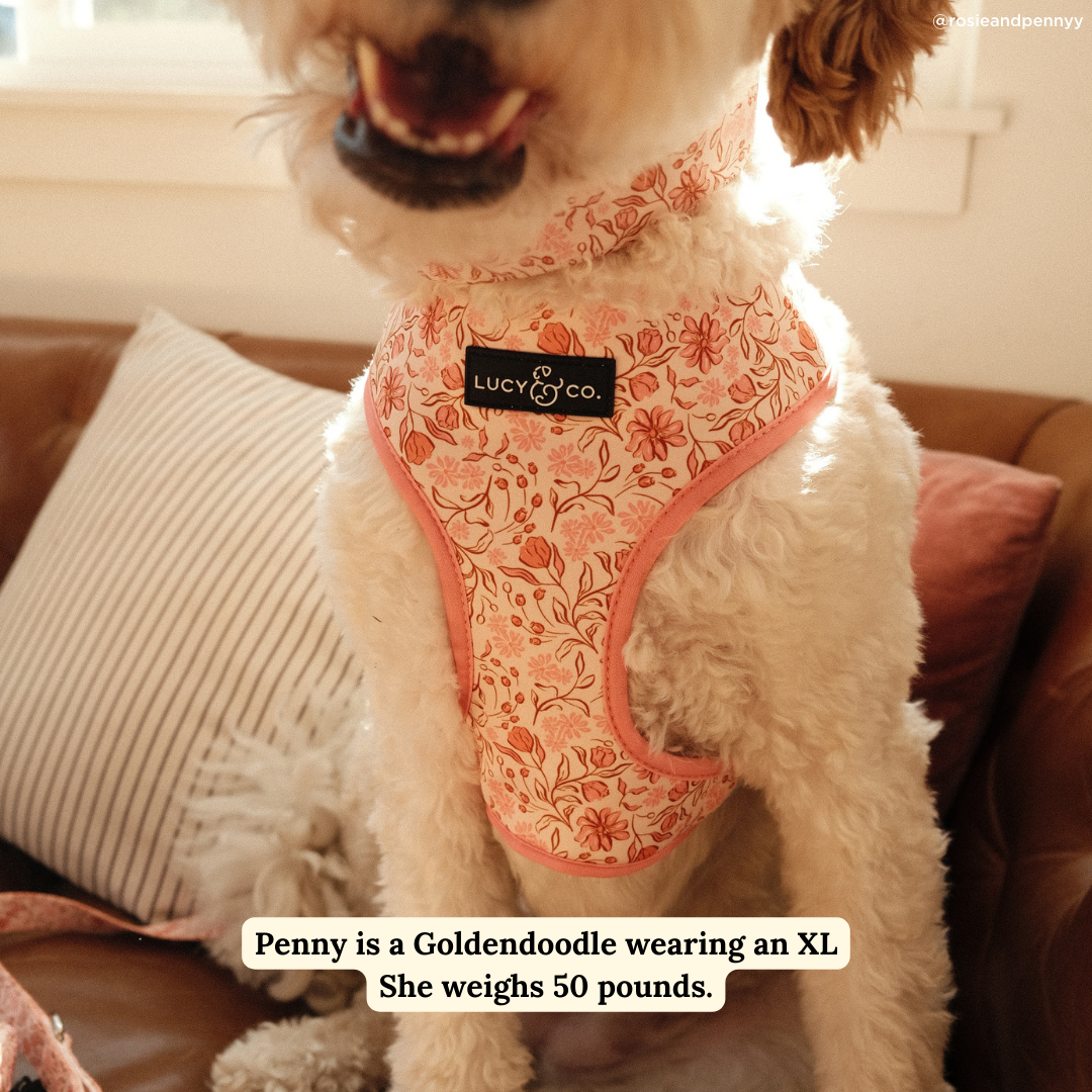 Reversible Harness product image 3