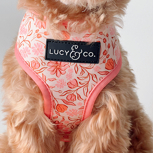 Reversible Harness product image 4