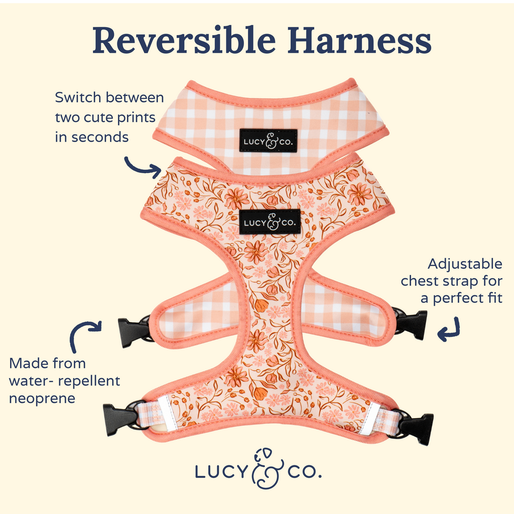 Reversible Harness product image 5