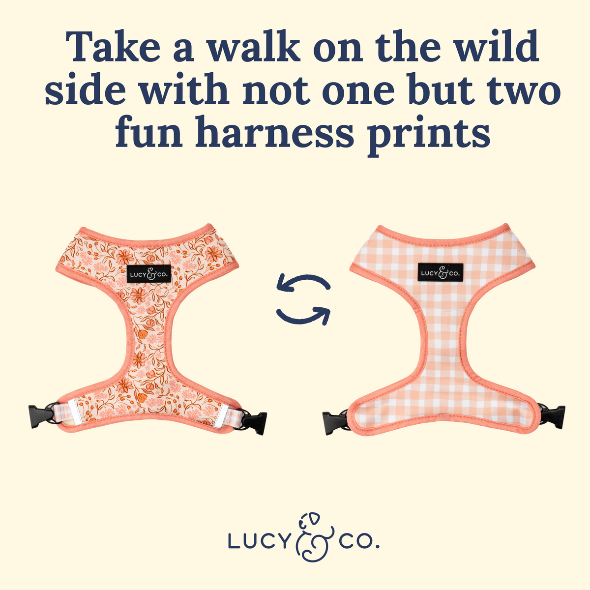 Reversible Harness product image 6
