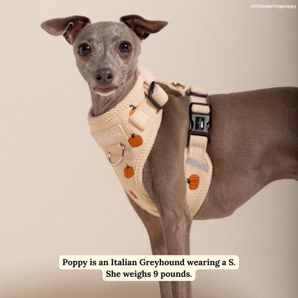 Dog Harness product image 2