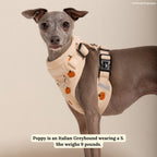 Dog Harness product image 2