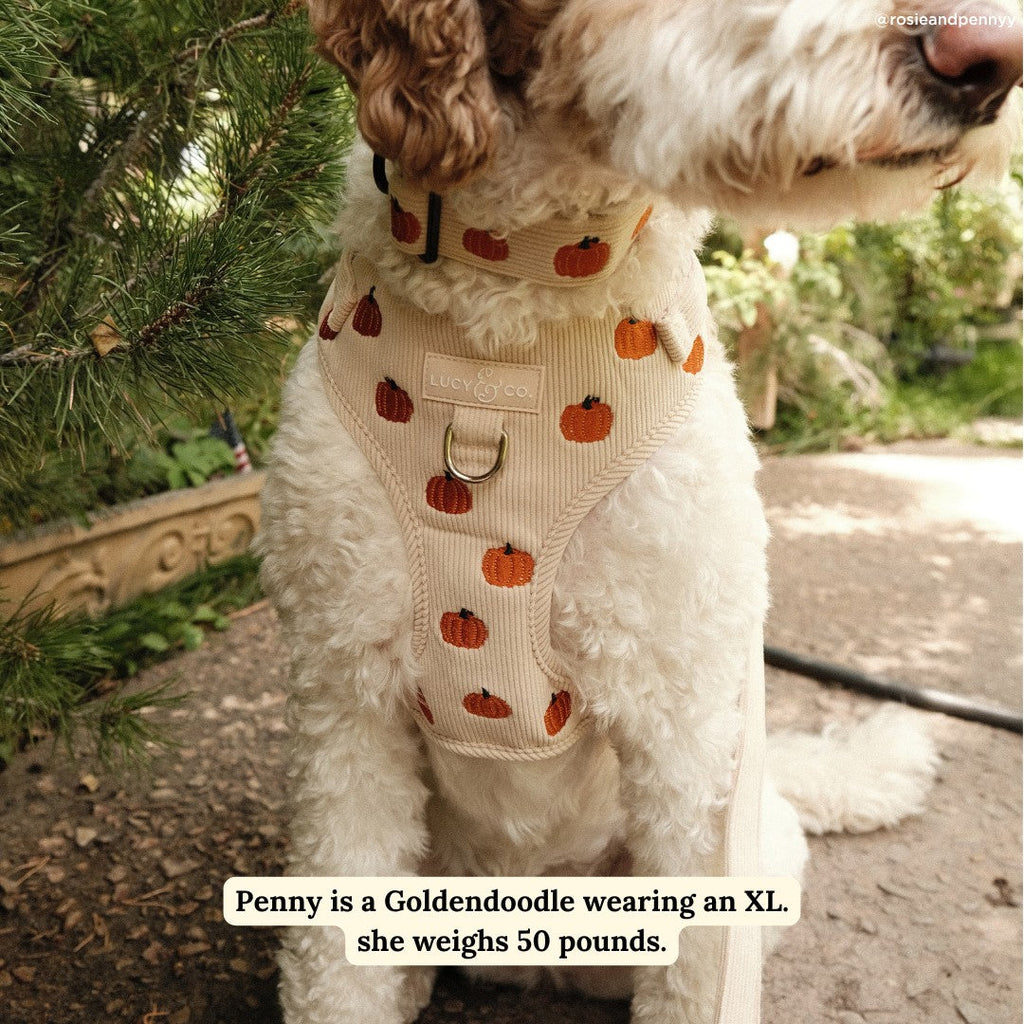 Dog Harness product image 3