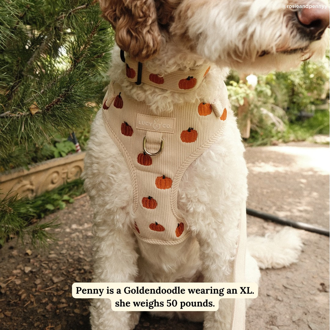 Dog Harness product image 3