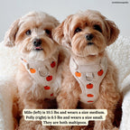 Dog Harness product image 4