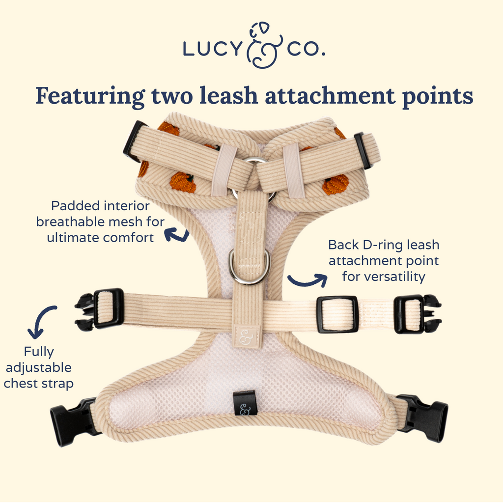 Dog Harness product image 6
