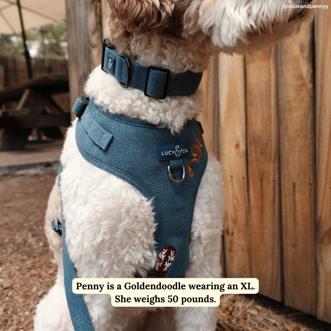No-Pull Harness product image 4