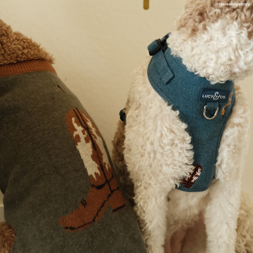 No-Pull Harness product image 7