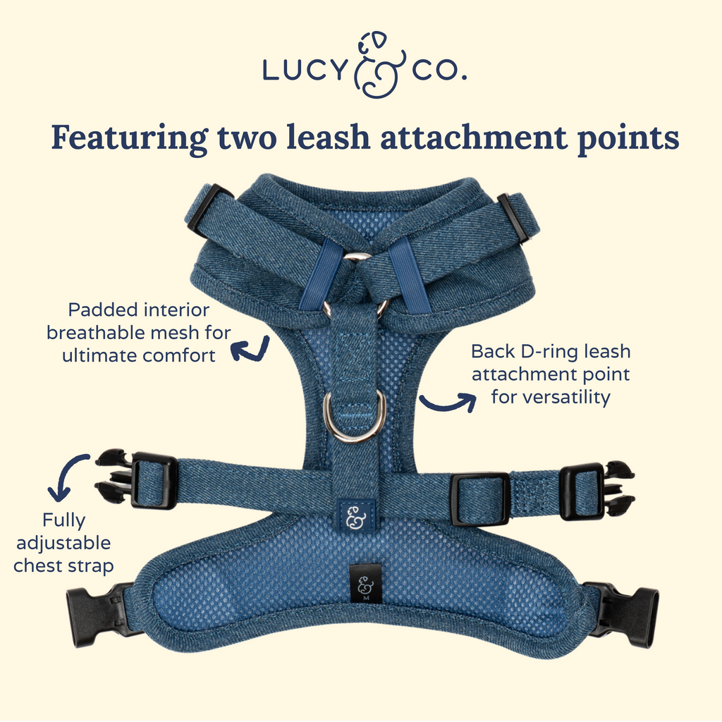 No-Pull Harness product image 10