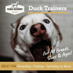 Dog Training Treats product image 4