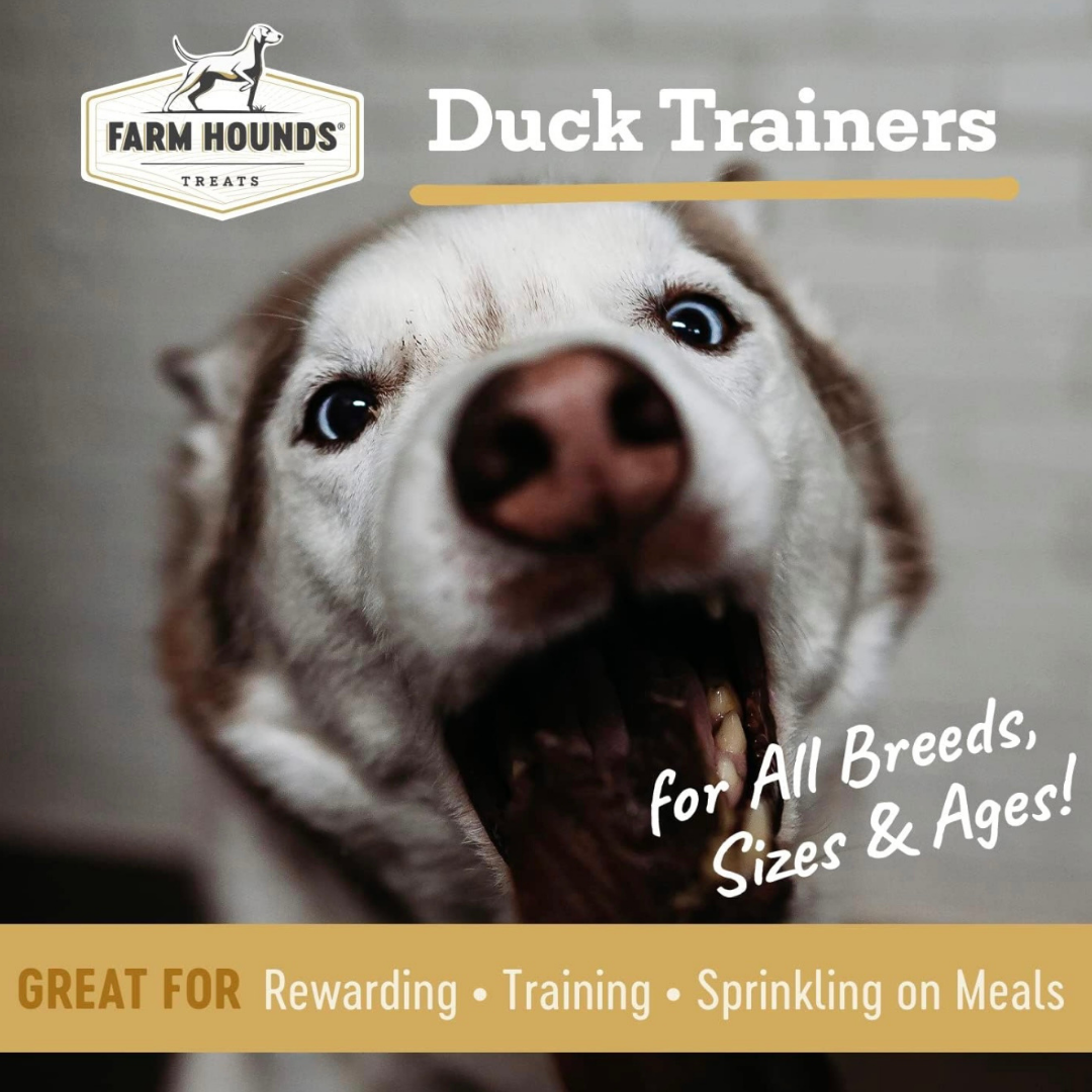 Dog Training Treats product image 4