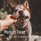 Turkey Dog Treats product image 5