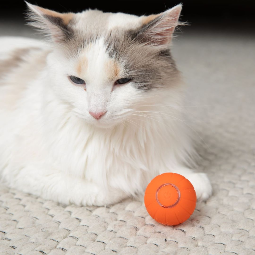Smart Cat Ball product image 5