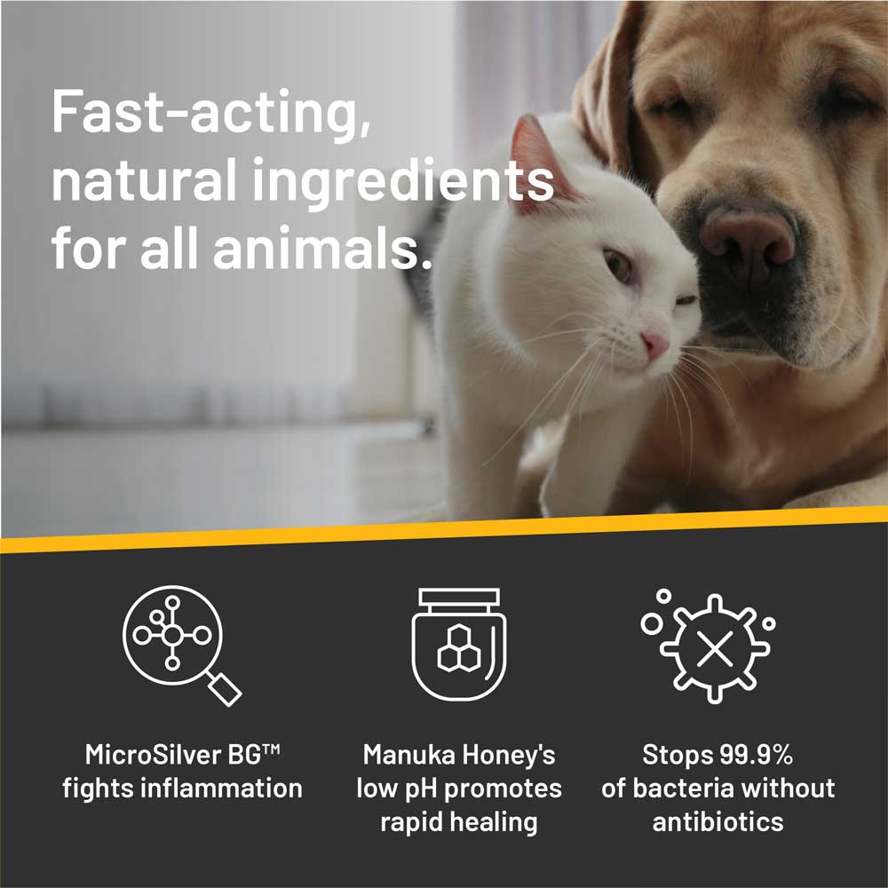 Pet Ear Wipes product image 6