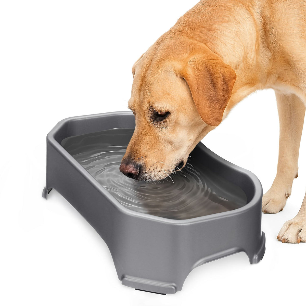 Raised Pet Bowl product image 1