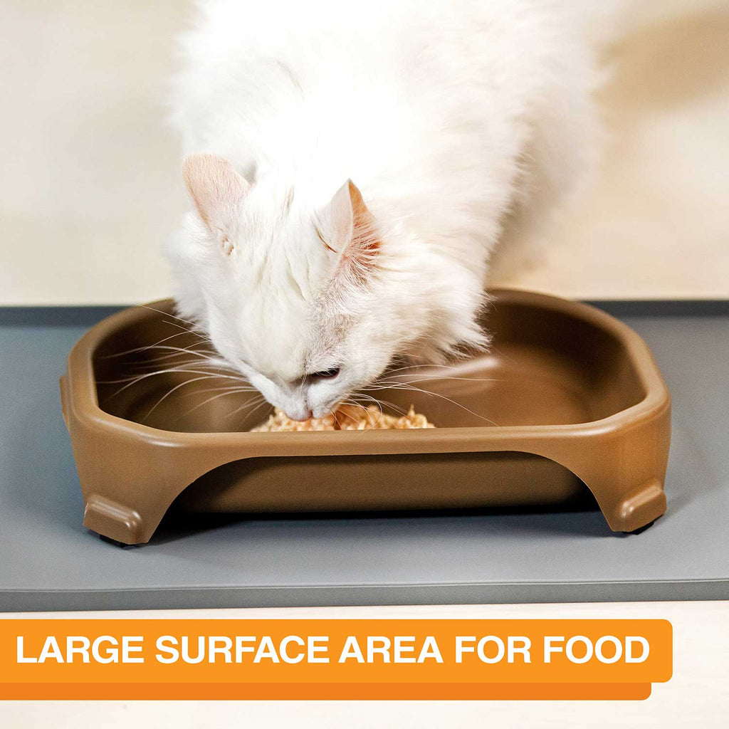 Raised Pet Bowl product image 4