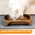 Raised Pet Bowl product image 4