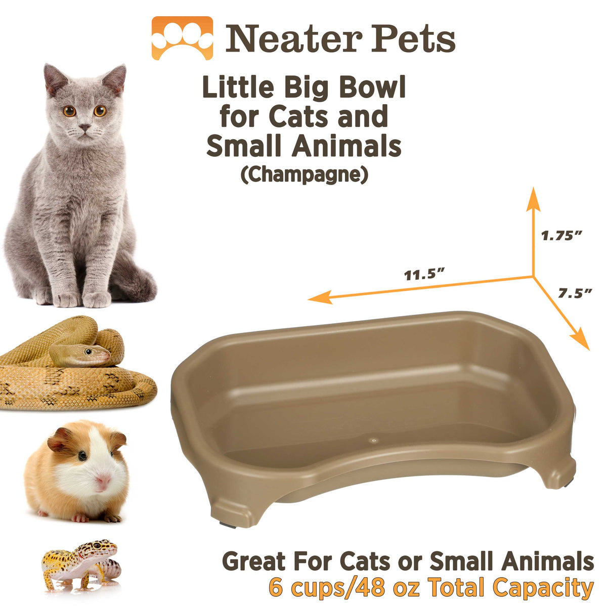 Raised Pet Bowl product image 6