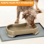 Raised Pet Bowl product image 14