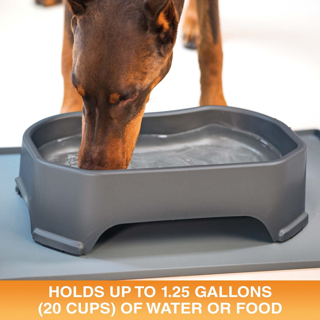Raised Pet Bowl product image 26