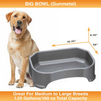 Raised Pet Bowl product image 28