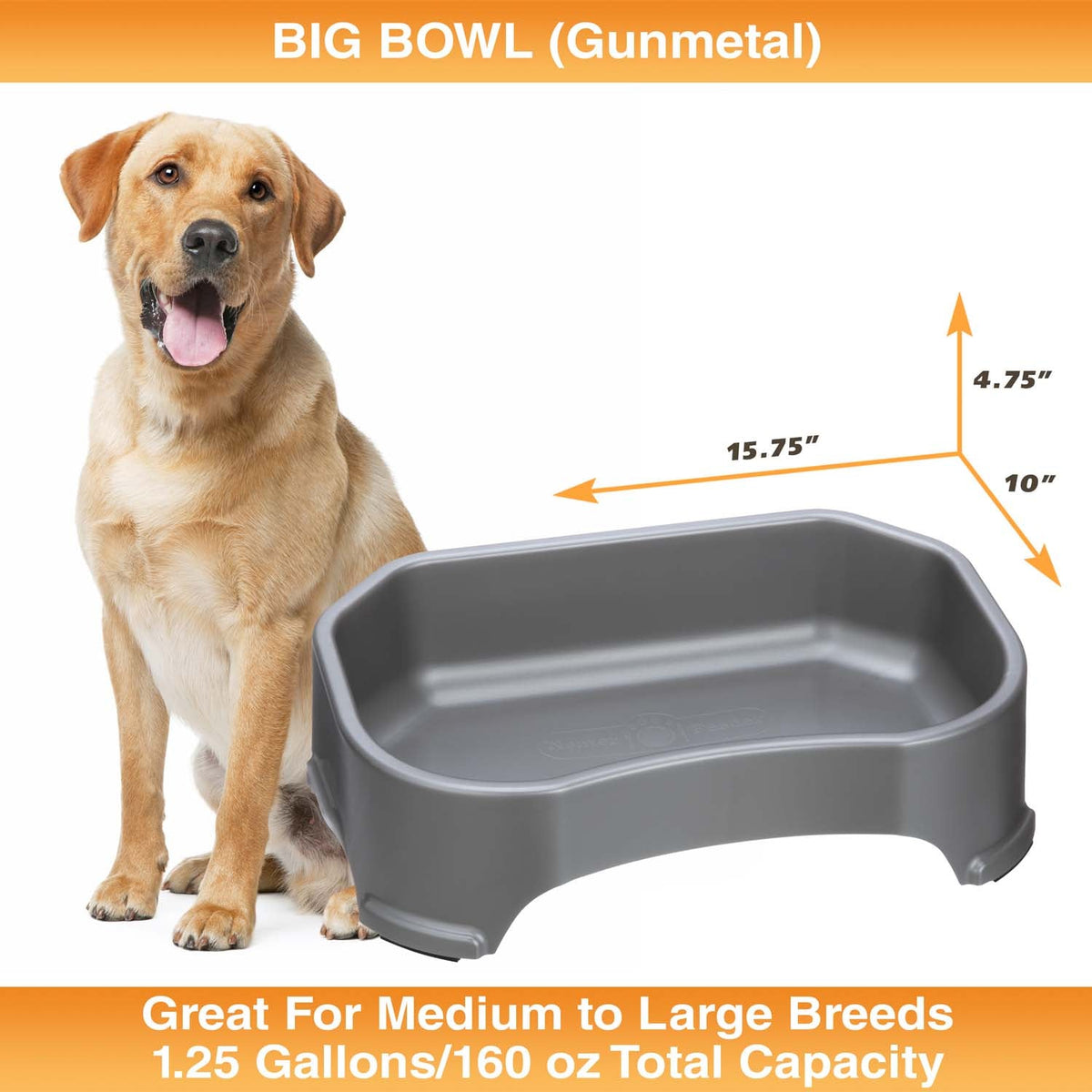 Raised Pet Bowl product image 28