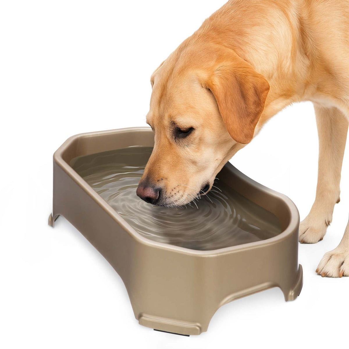 Raised Pet Bowl product image 29