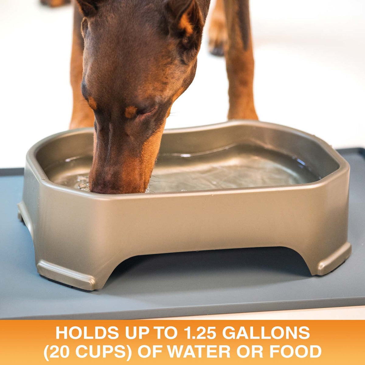 Raised Pet Bowl product image 30