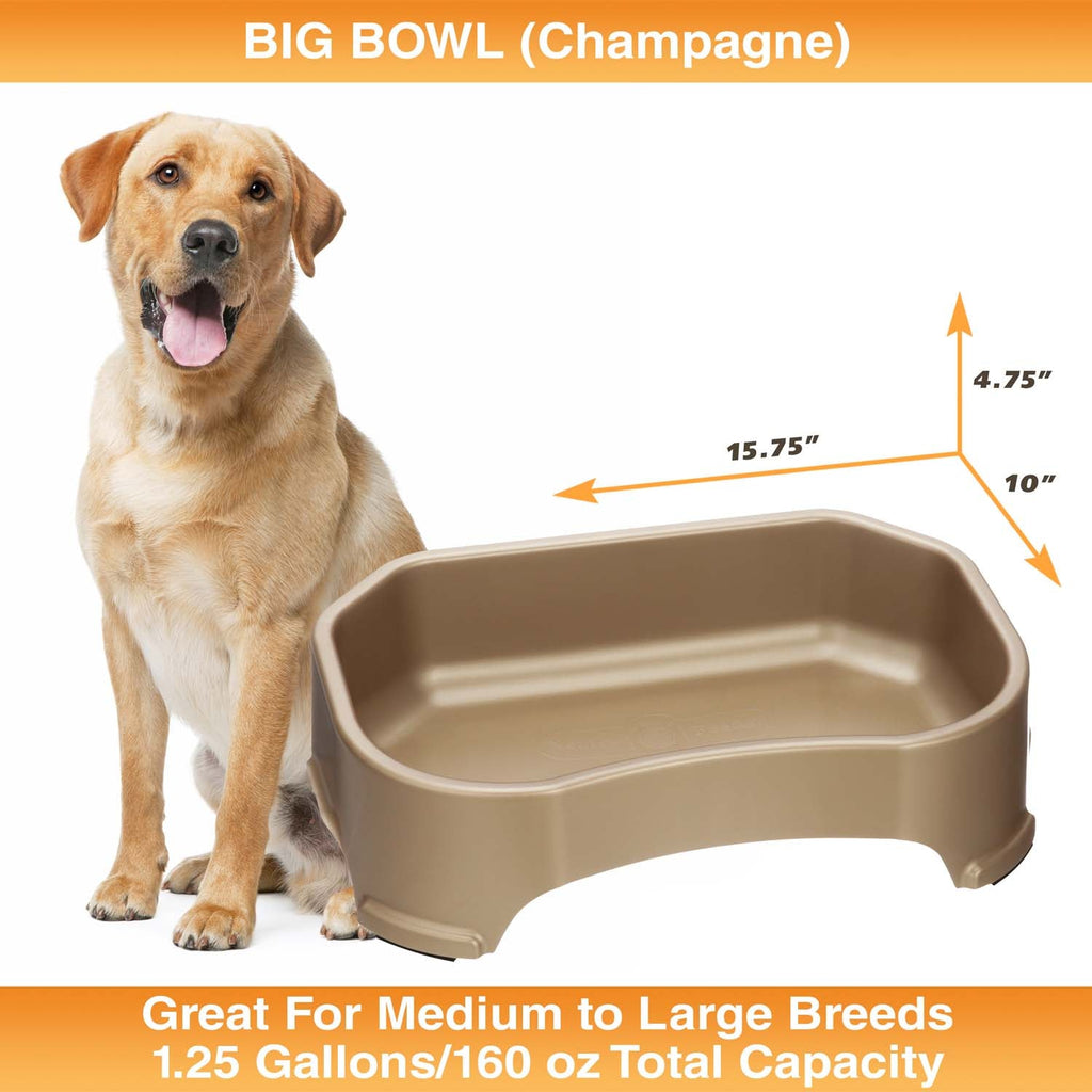 Raised Pet Bowl product image 32