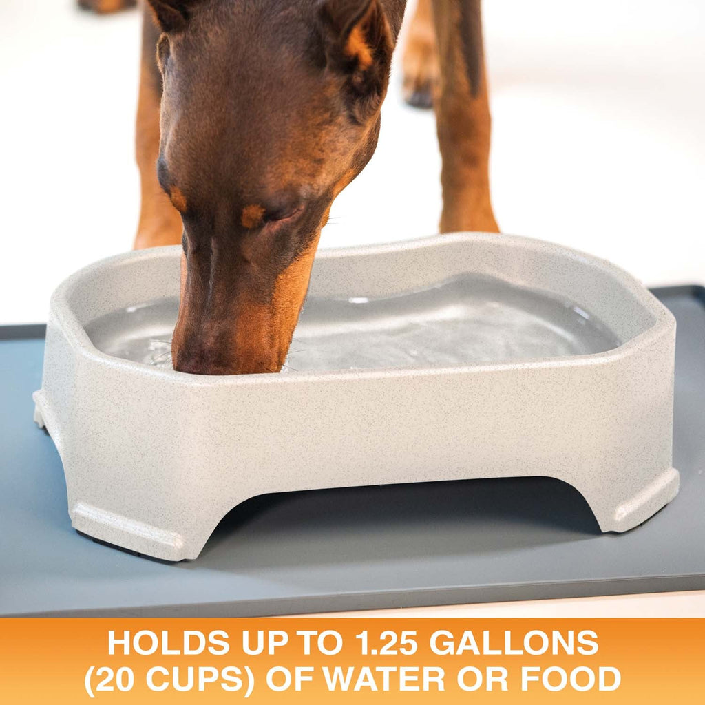 Raised Pet Bowl product image 34
