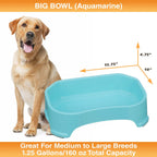 Raised Pet Bowl product image 40