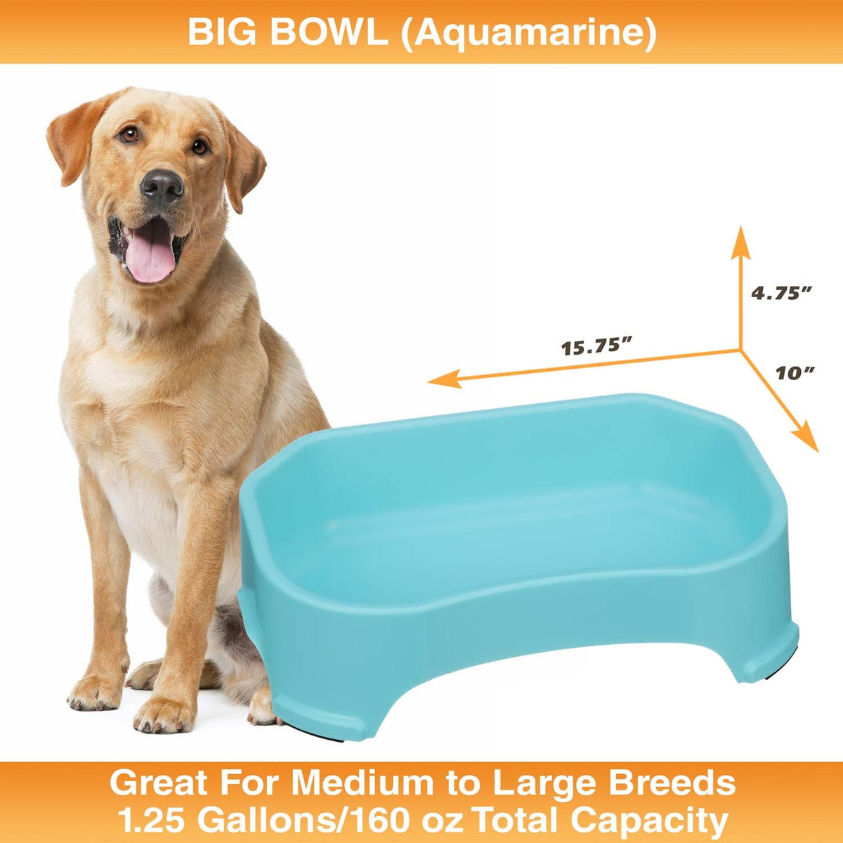 Raised Pet Bowl product image 40