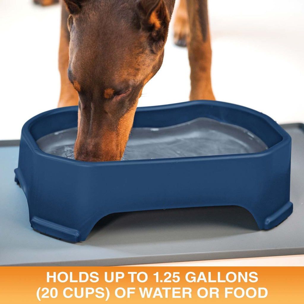 Raised Pet Bowl product image 42