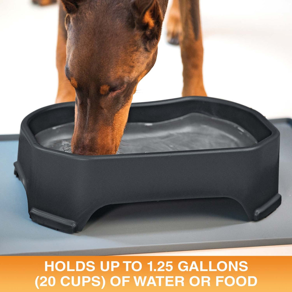 Raised Pet Bowl product image 46